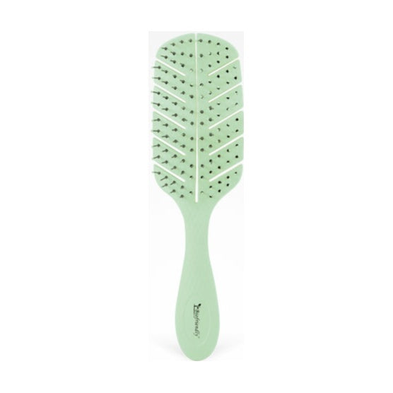 Bifull - Biofriendly Cepillo Esqueleto Verde