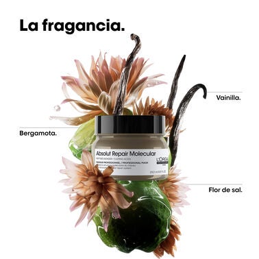 L’Oréal Professionnel - Mascarilla Concentrada Absolut Repair Molecular
