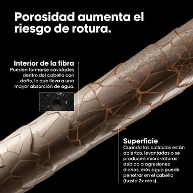 Tratamiento Pre Champú Metal Detox - L' Oreal Professionnel