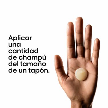 L’Oréal Professionnel - Refill Champú Absolut Repair - 500 ml