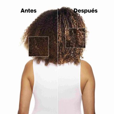 L’Oréal Professionnel - Refill Champú Absolut Repair - 500 ml