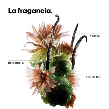 L’Oréal Professionnel - Refill Champú Absolut Repair Molecular - 500 ml