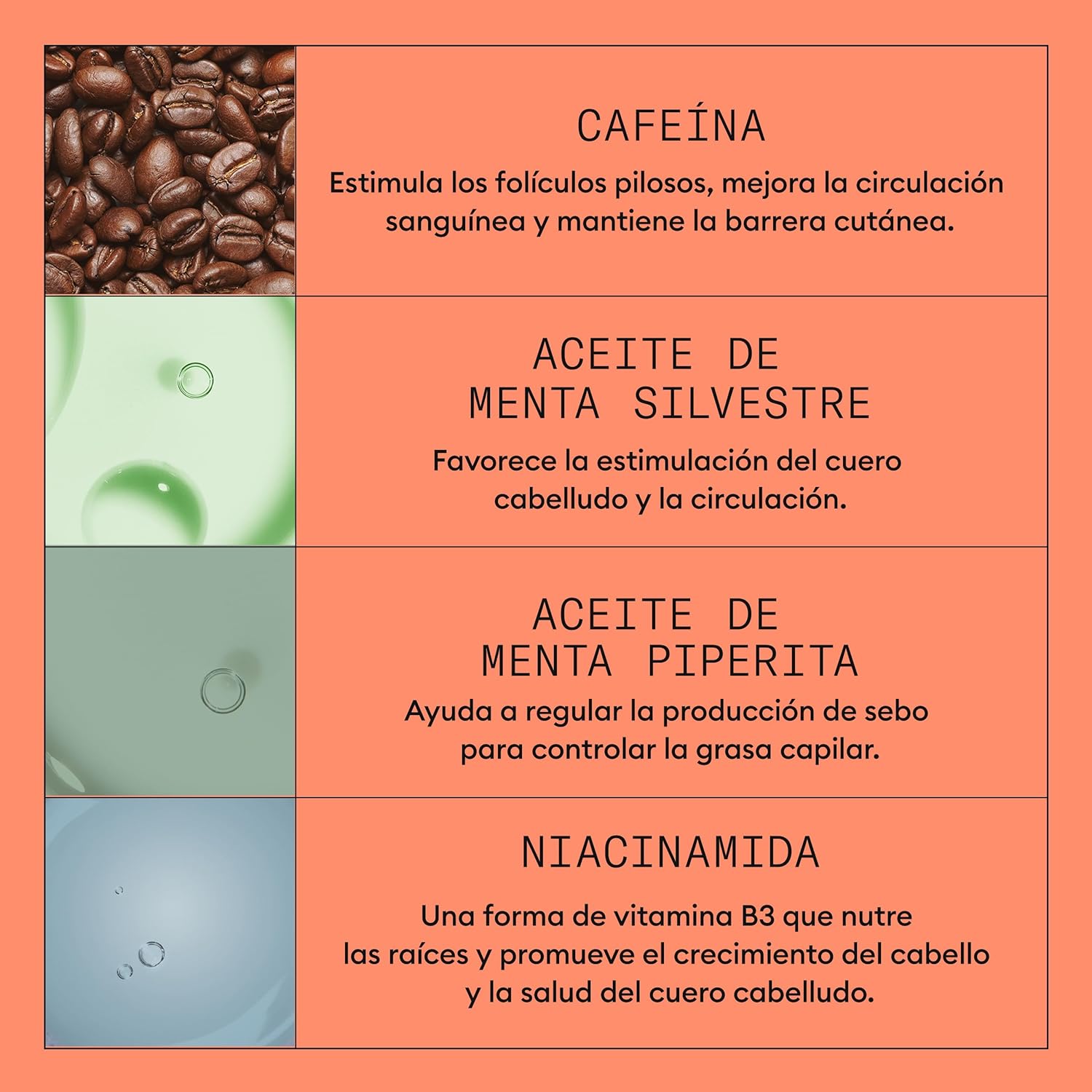 Nioxin - System 1 Kit (Champú + Acondicionador 3 + Tratamiento 1)