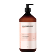 Kin Cosmetics - Kinessences Antiox Gentle Champú