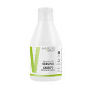Salerm - Champú Voluminizador