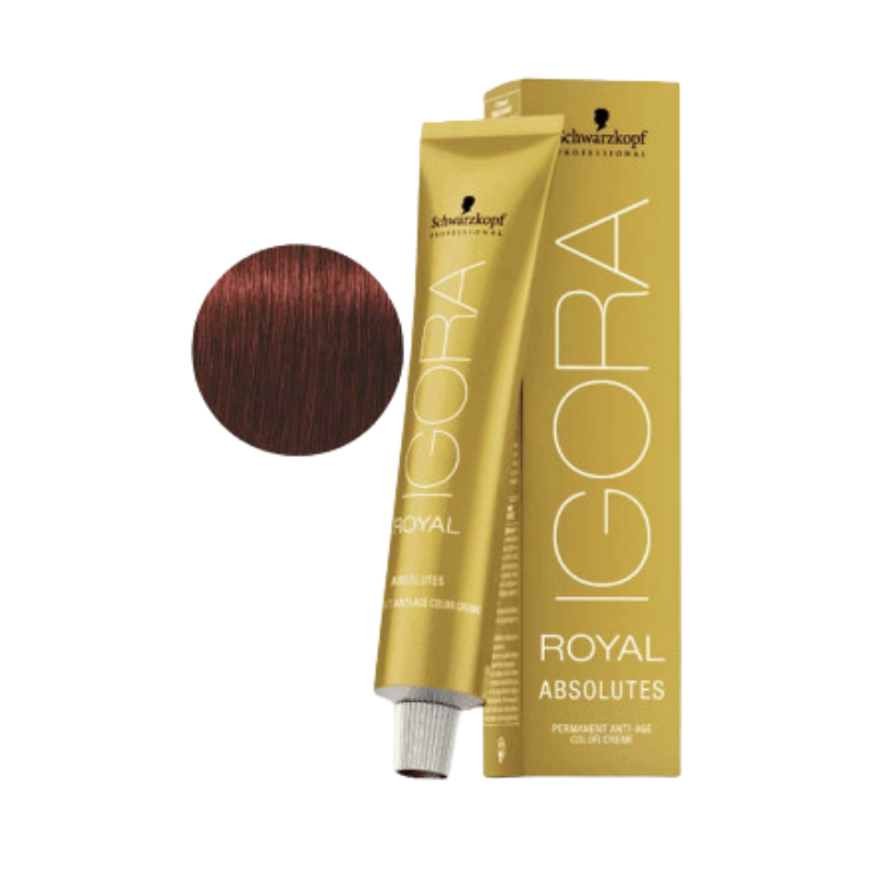 Schwarzkopf - Igora Royal Absolutes - 5-80 - 60 ml