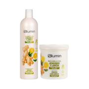 Tahe - Pack Blumin Jengibre y Limón (Champú 1000 ml + Mascarilla 700ml)