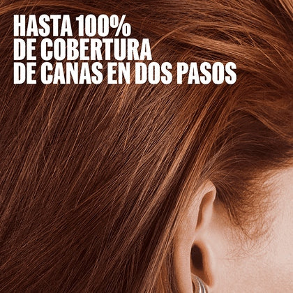 Gráfica de la gama