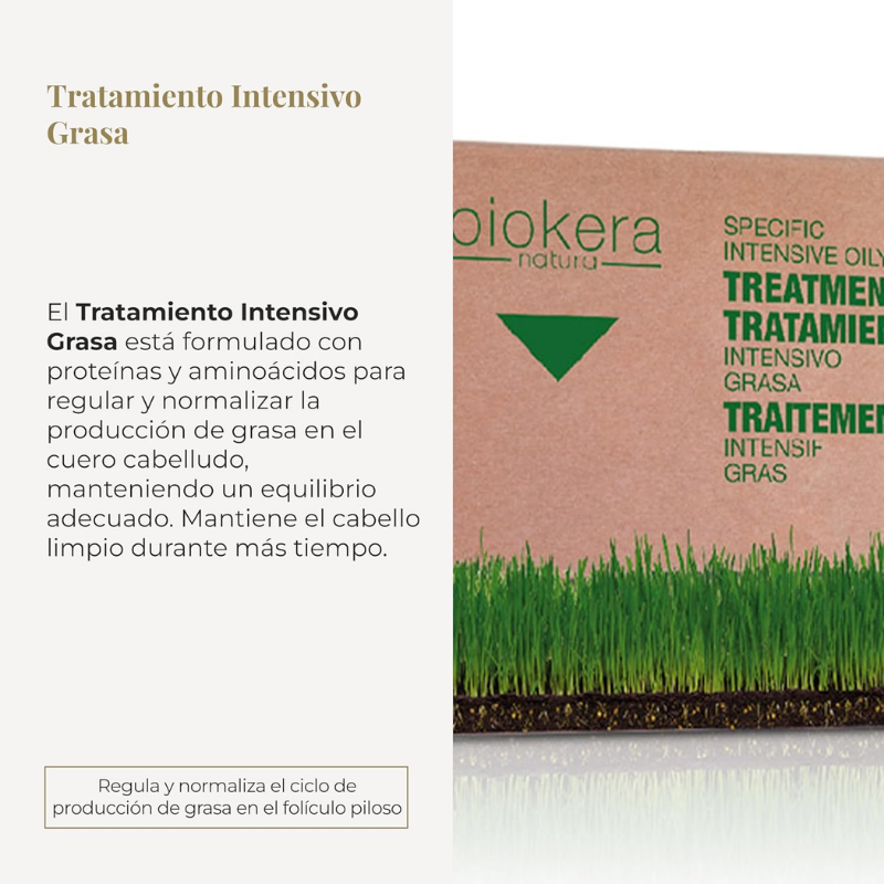 Salerm - Biokera Tratamiento Intensivo Grasa - 6 x 10 ml